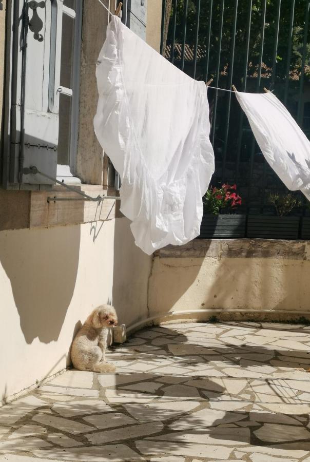 Maison De L'Aguze Saint-Pons-de-Thomieres Dış mekan fotoğraf